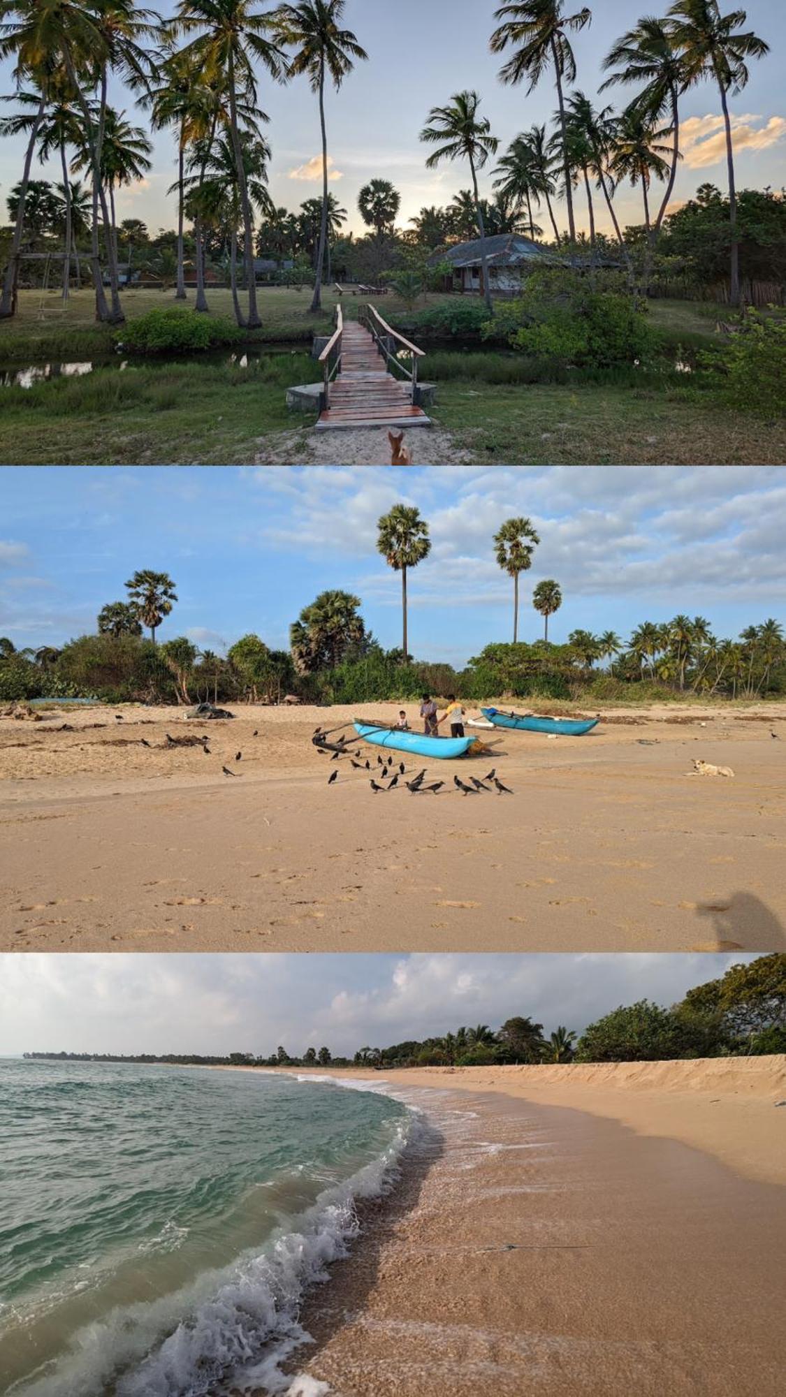 108 Palms Beach Resort Trincomalee Eksteriør billede