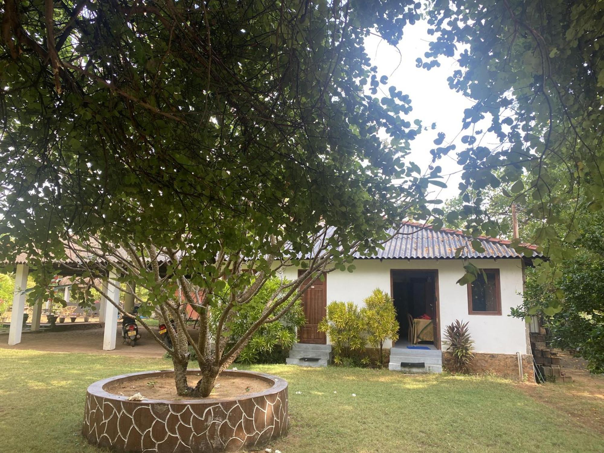 108 Palms Beach Resort Trincomalee Eksteriør billede