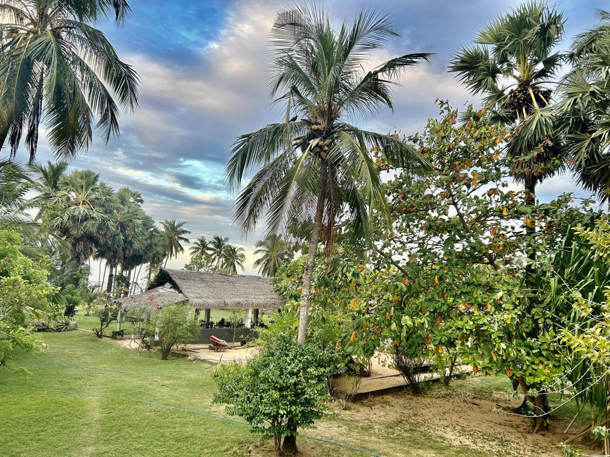 108 Palms Beach Resort Trincomalee Eksteriør billede