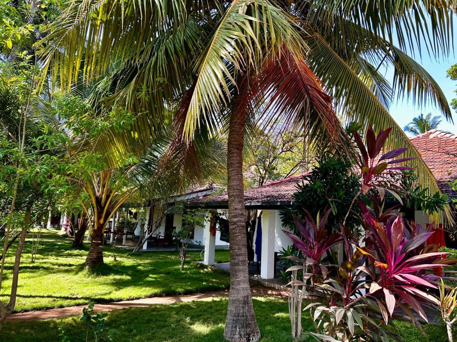 108 Palms Beach Resort Trincomalee Eksteriør billede